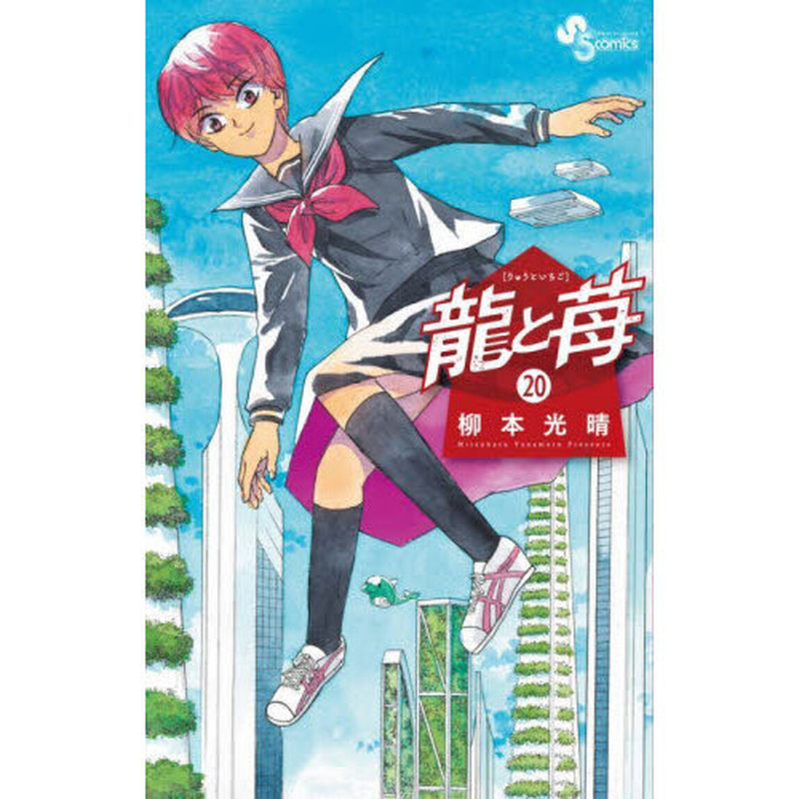 龍と苺 20