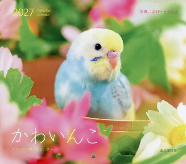 &rsquo;２７かわいんこインコと小鳥のカレンダー