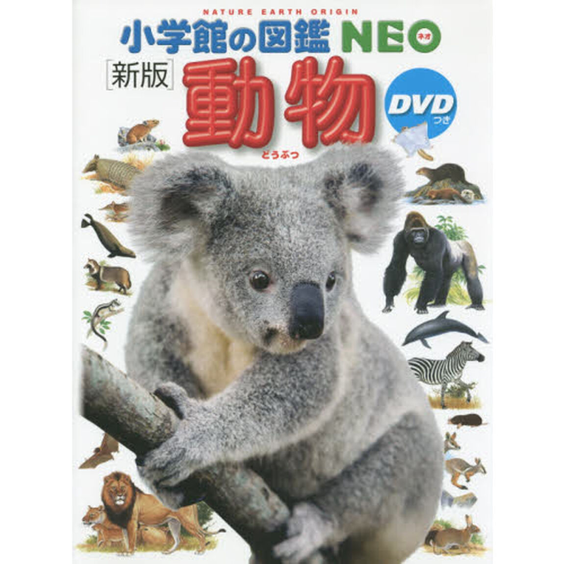 小学館の図鑑ＮＥＯ　動物　ＤＶＤつき　シール特典付き