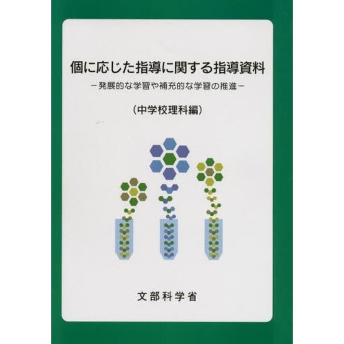 個に応じた指導に関する指導資料　発展的な学習や補充的な学習の推進　中学校理科編