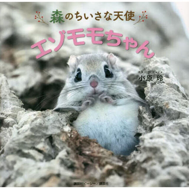 森のちいさな天使エゾモモちゃん