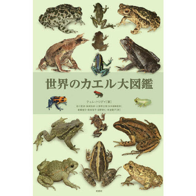 世界のカエル大図鑑