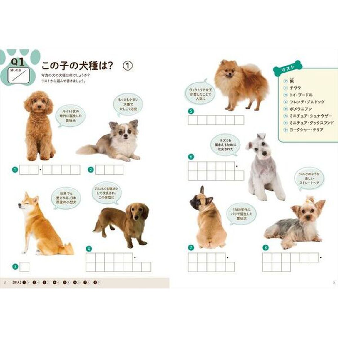 脳がみるみる若返る脳トレ犬ドリル　大好きなワンコのことだから脳に効く！
