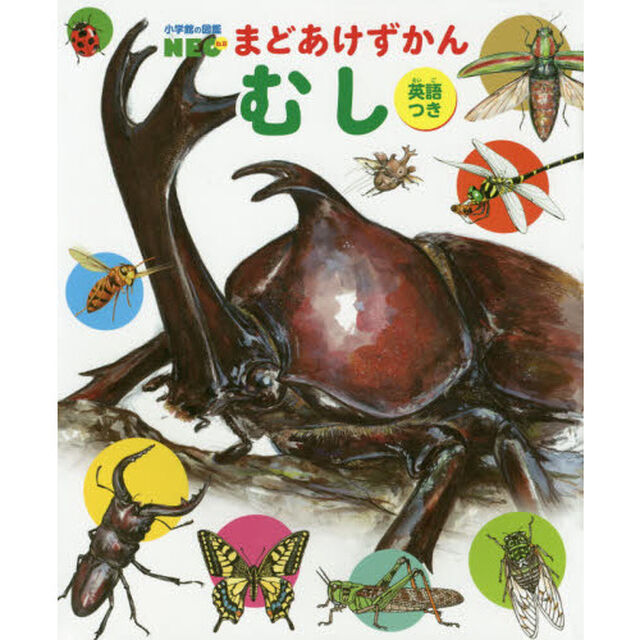 むし（小学館の図鑑NEO まどあけずかん 英語つき）