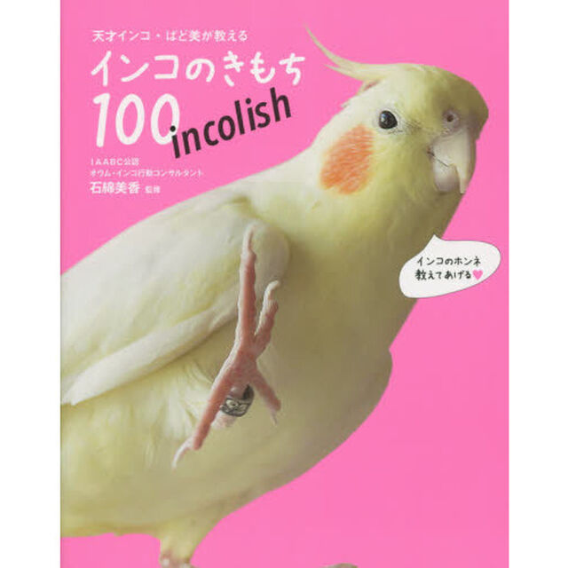 天才インコ・ばど美が教えるインコのきもち１００　ｉｎｃｏｌｉｓｈ