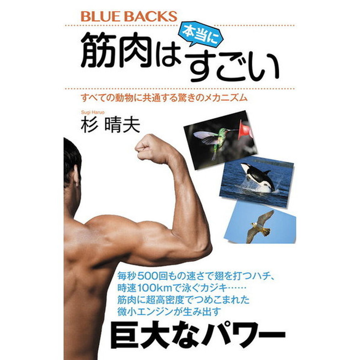 筋肉は本当にすごい　すべての動物に共通する驚きのメカニズム
