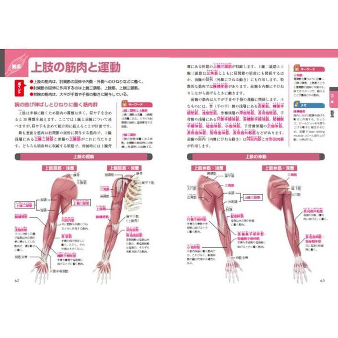 解剖学の基本　初学者でも解剖学がよくわかる１冊「新装版」