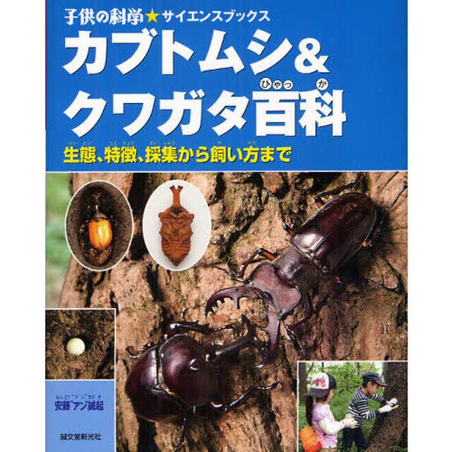 カブトムシ＆クワガタ百科　生態、特徴、採集から飼い方まで