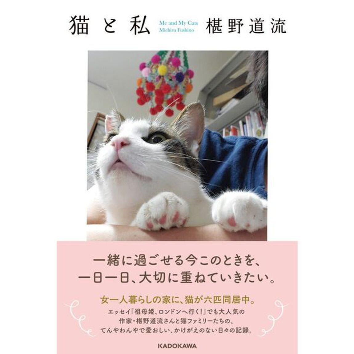猫と私