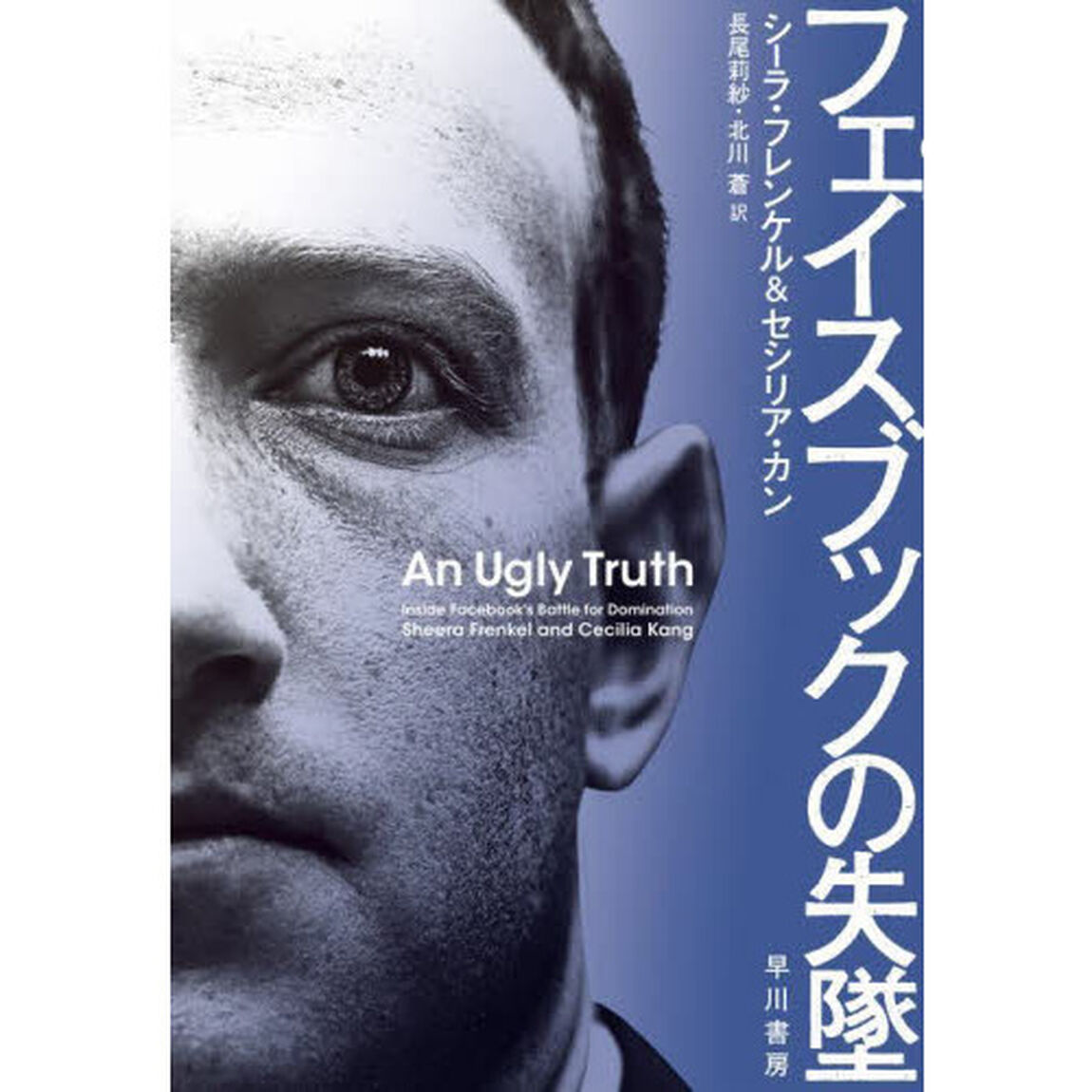 フェイスブックの失墜