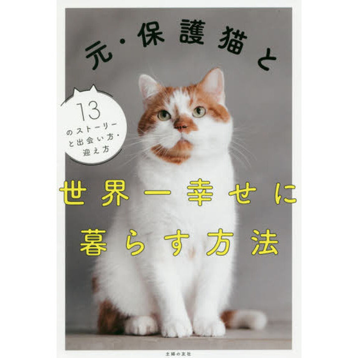 元・保護猫と世界一幸せに暮らす方法