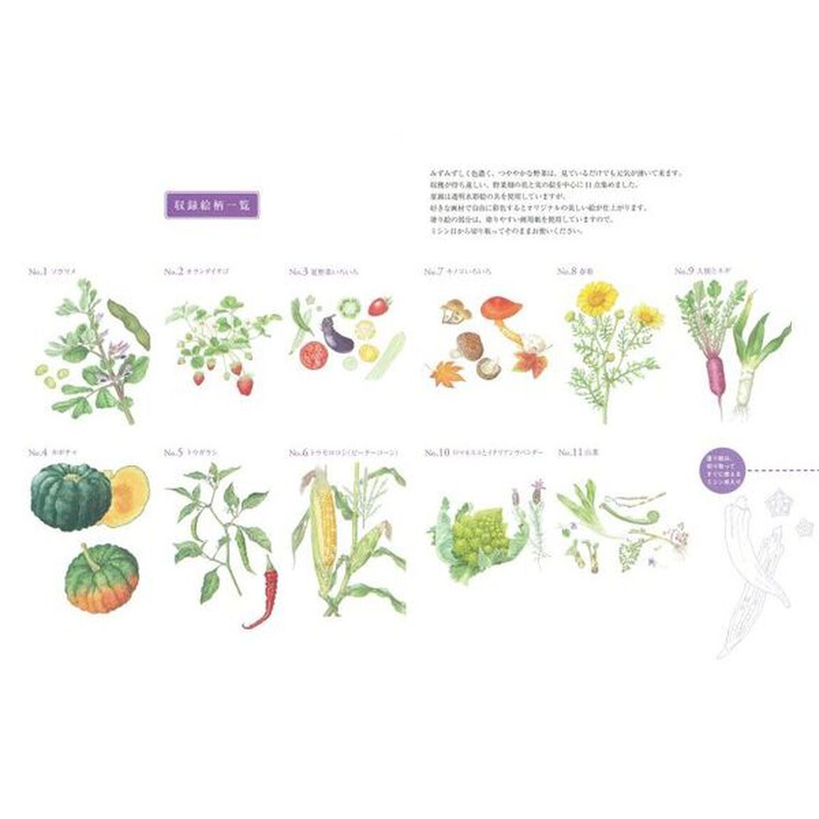 大人の塗り絵　すぐ塗れる、美しいオリジナル原画付き　野菜畑の花と実編　新装版