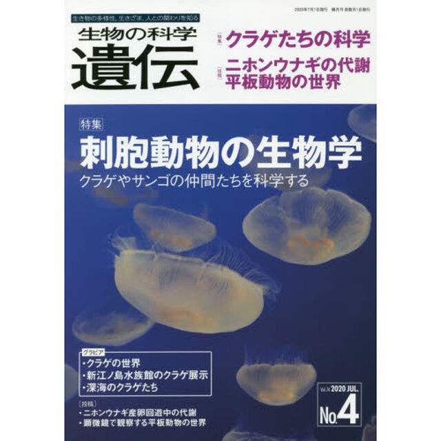 生物の科学遺伝　Ｖｏｌ．７４Ｎｏ．４（２０２０ＪＵＬ．）「クラゲたちの科学／ニホンウナギの代謝／平板動物」