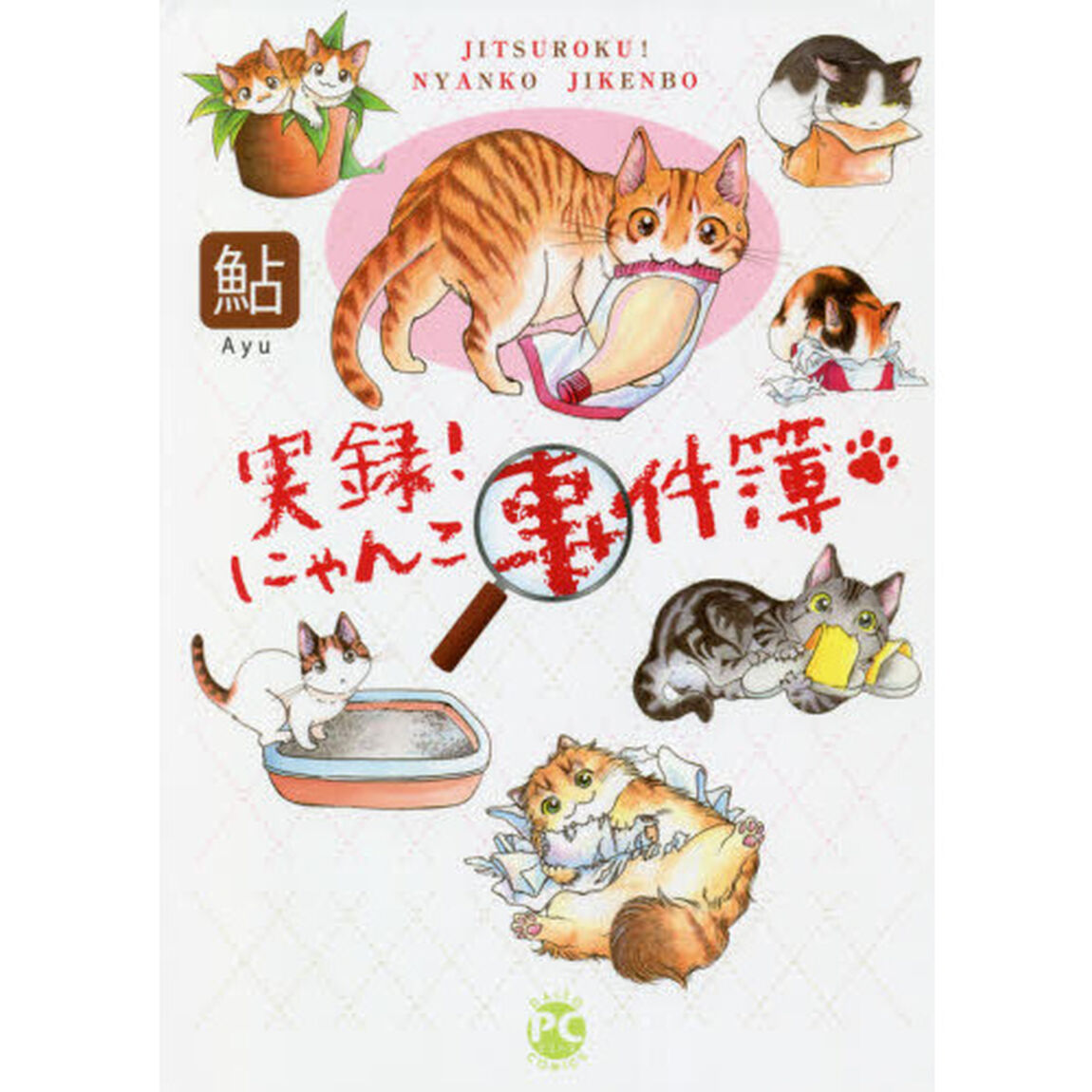 実録！にゃんこ事件簿