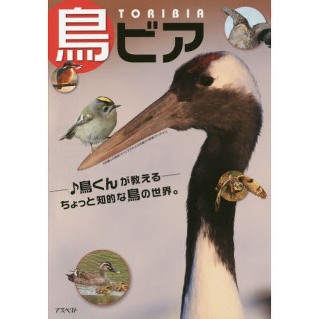 鳥ビア　♪鳥くんが教える　ちょっと知的な鳥の世界。