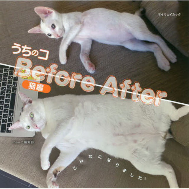 うちのコＢｅｆｏｒｅ　Ａｆｔｅｒ　猫編