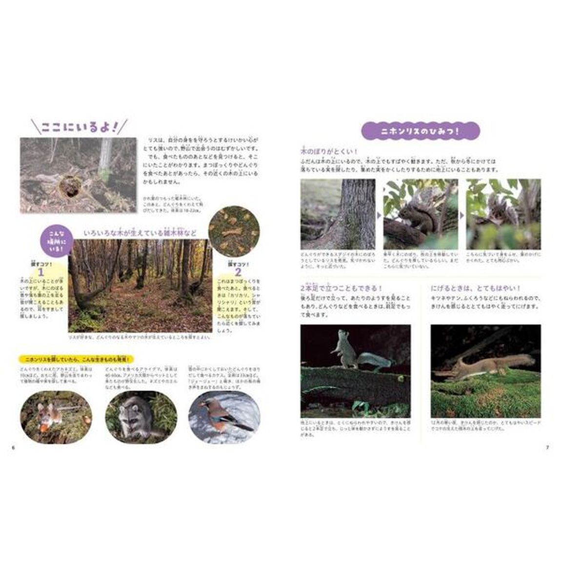 みーつけた！生きものからの挑戦状　〔４〕「冬の生きものをさがせ！」
