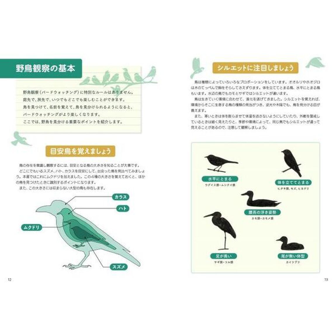 はじめての野鳥観察