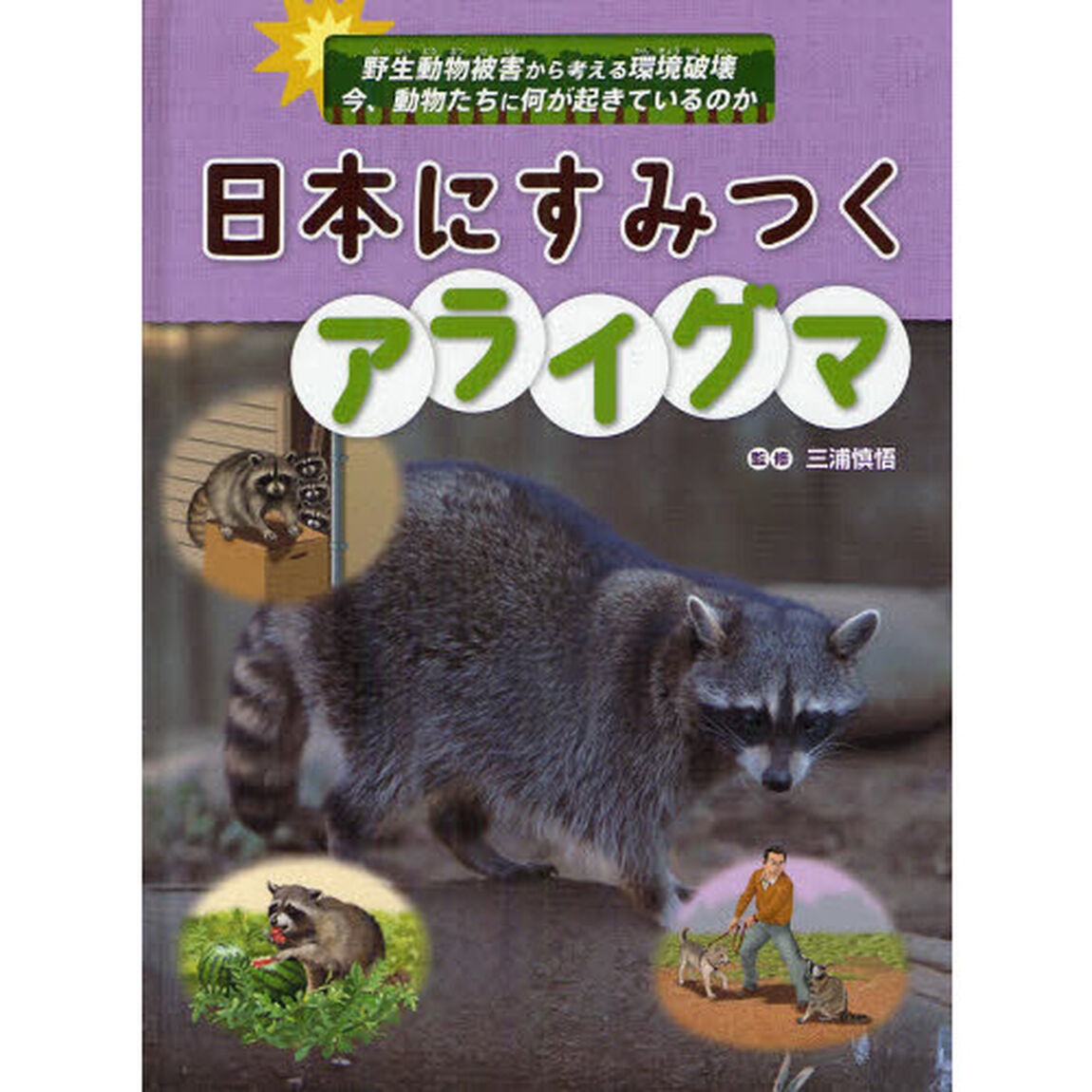 日本にすみつくアライグマ
