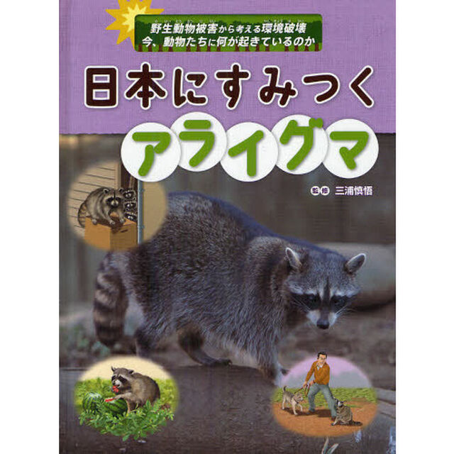 日本にすみつくアライグマ