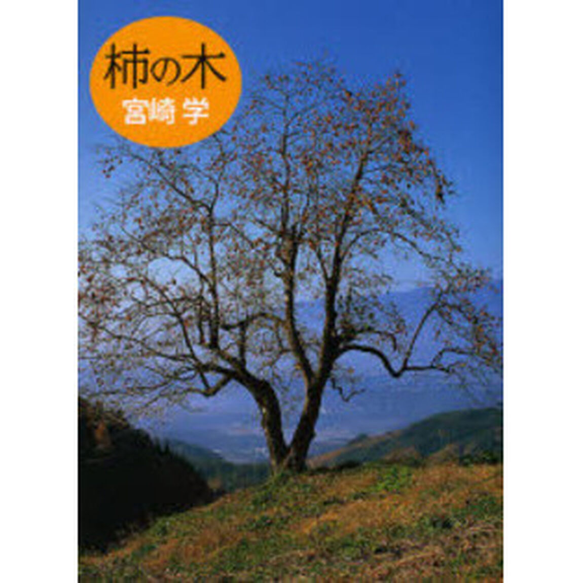 柿の木