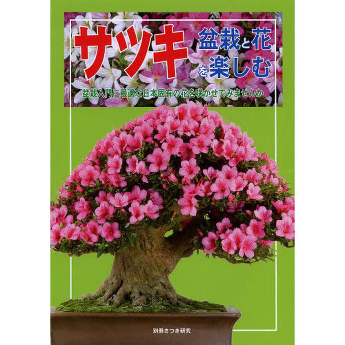サツキ盆栽と花を楽しむ　盆栽入門に最適な日本固有の花を咲かせてみませんか