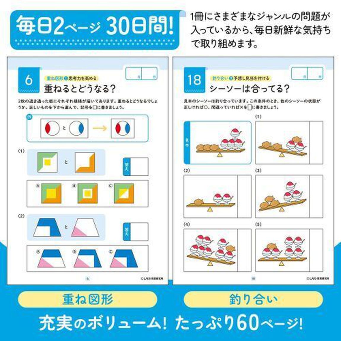 七田式　大人の知力ドリル　推理