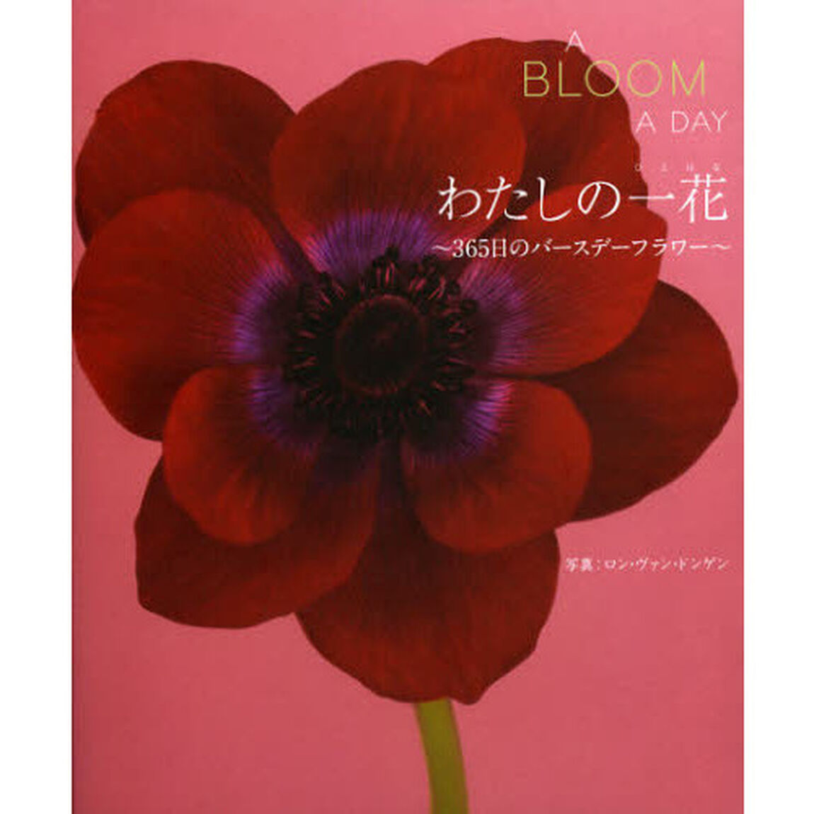 わたしの一花 365日のバースデーフラワー