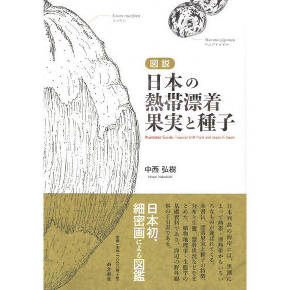 図説日本の熱帯漂着果実と種子