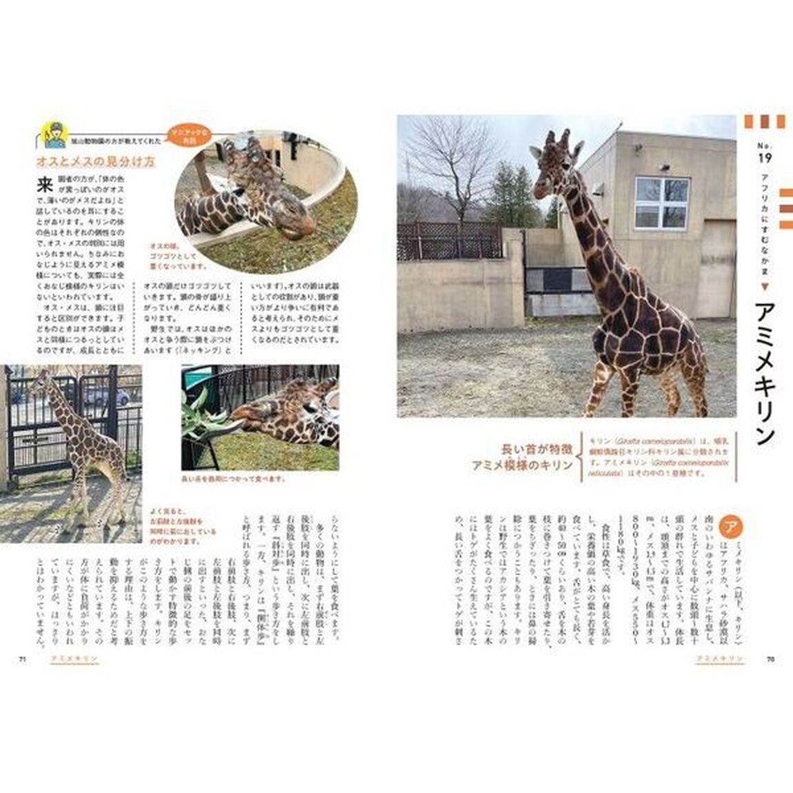 飼育員が教えるどうぶつのディープな話　動物園を１００倍楽しむ！