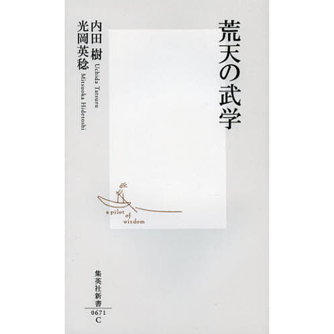 荒天の武学