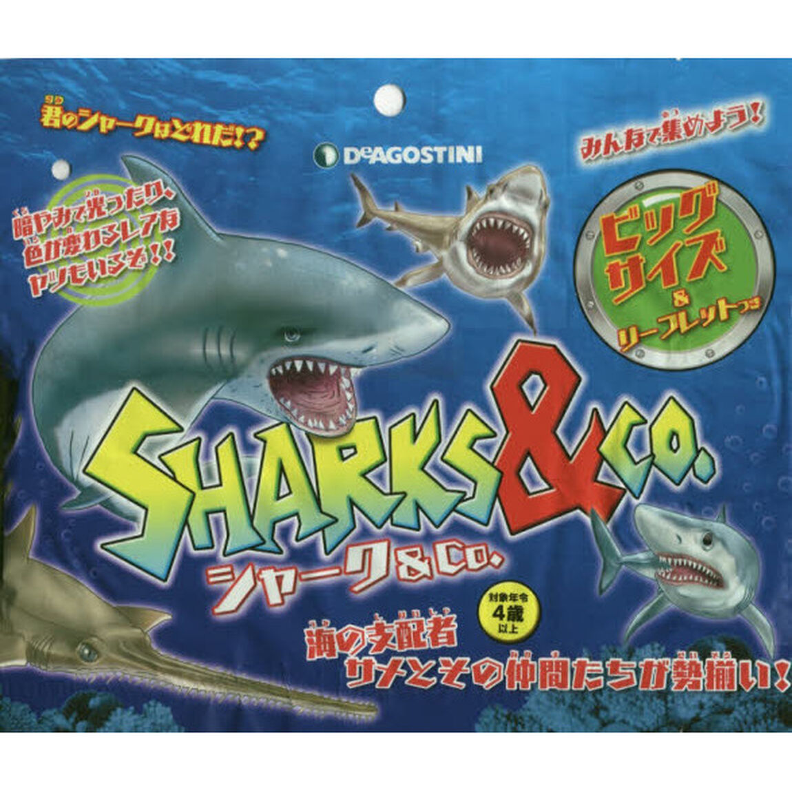 シャーク＆Ｃｏ．　全国版　パック