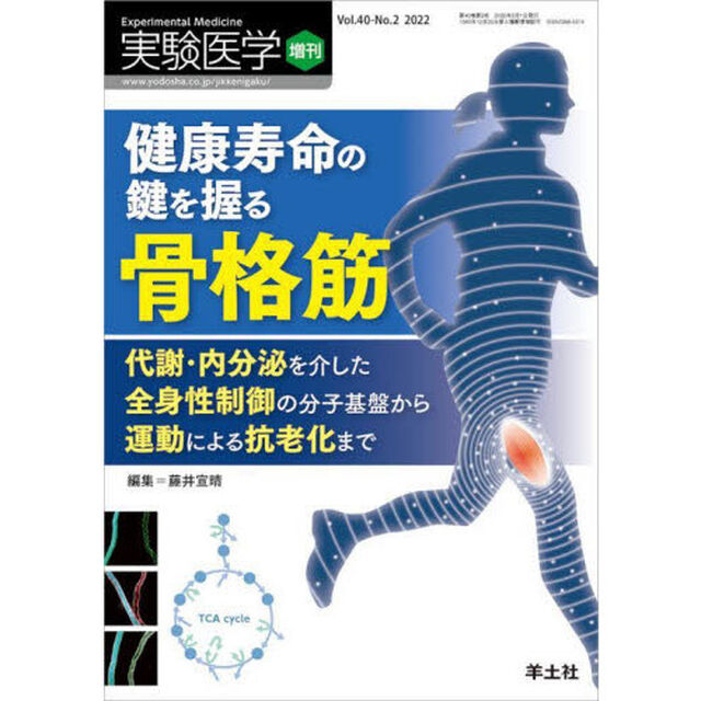 実験医学　Ｖｏｌ．４０－Ｎｏ．２（２０２２増刊）「健康寿命の鍵を握る骨格筋　代謝・内分泌を介した全身性制御の分子基盤から運動による抗老化まで」