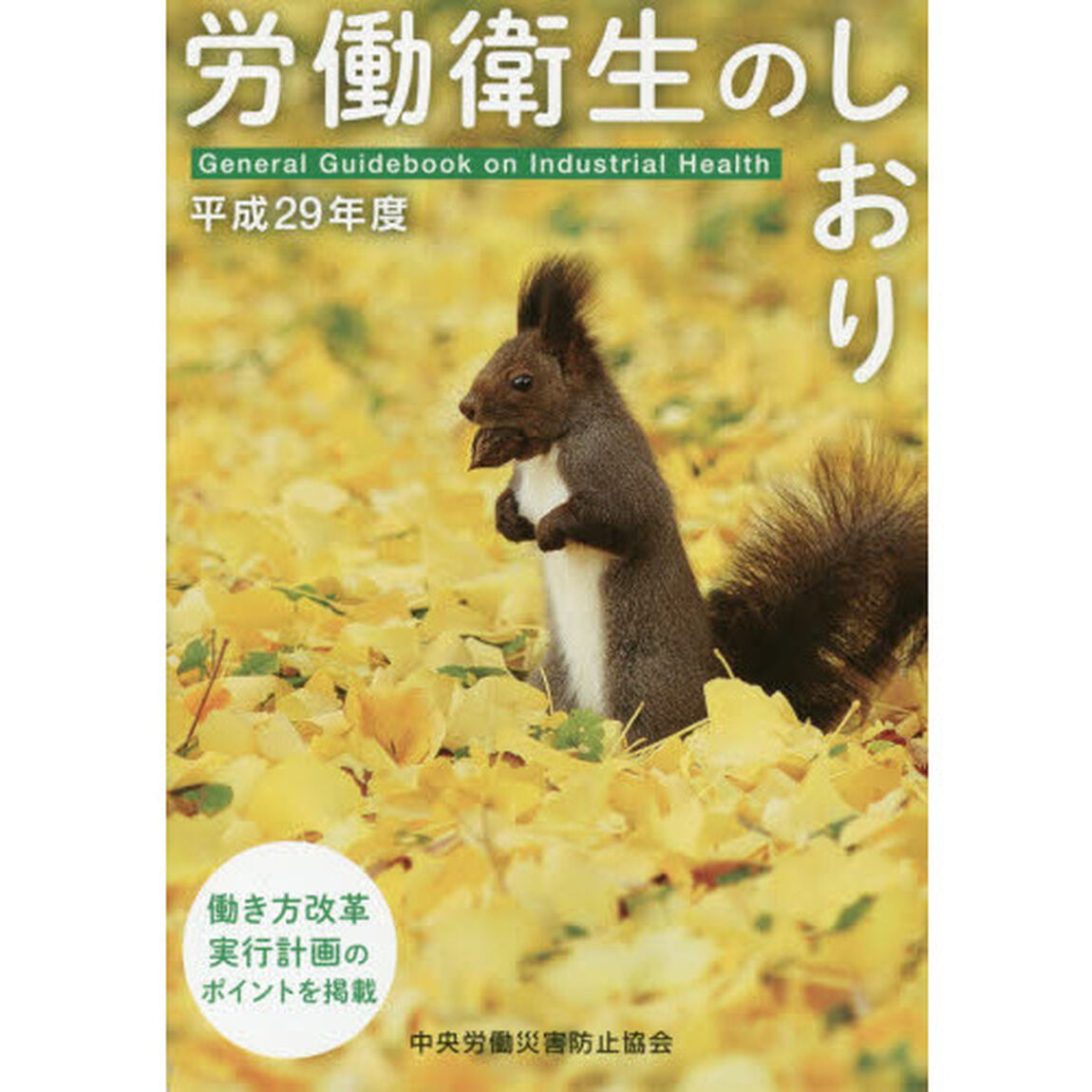 労働衛生のしおり　平成２９年度