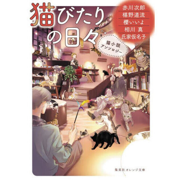 猫びたりの日々