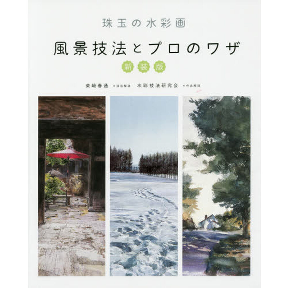 風景技法とプロのワザ (新装版 珠玉の水彩画)