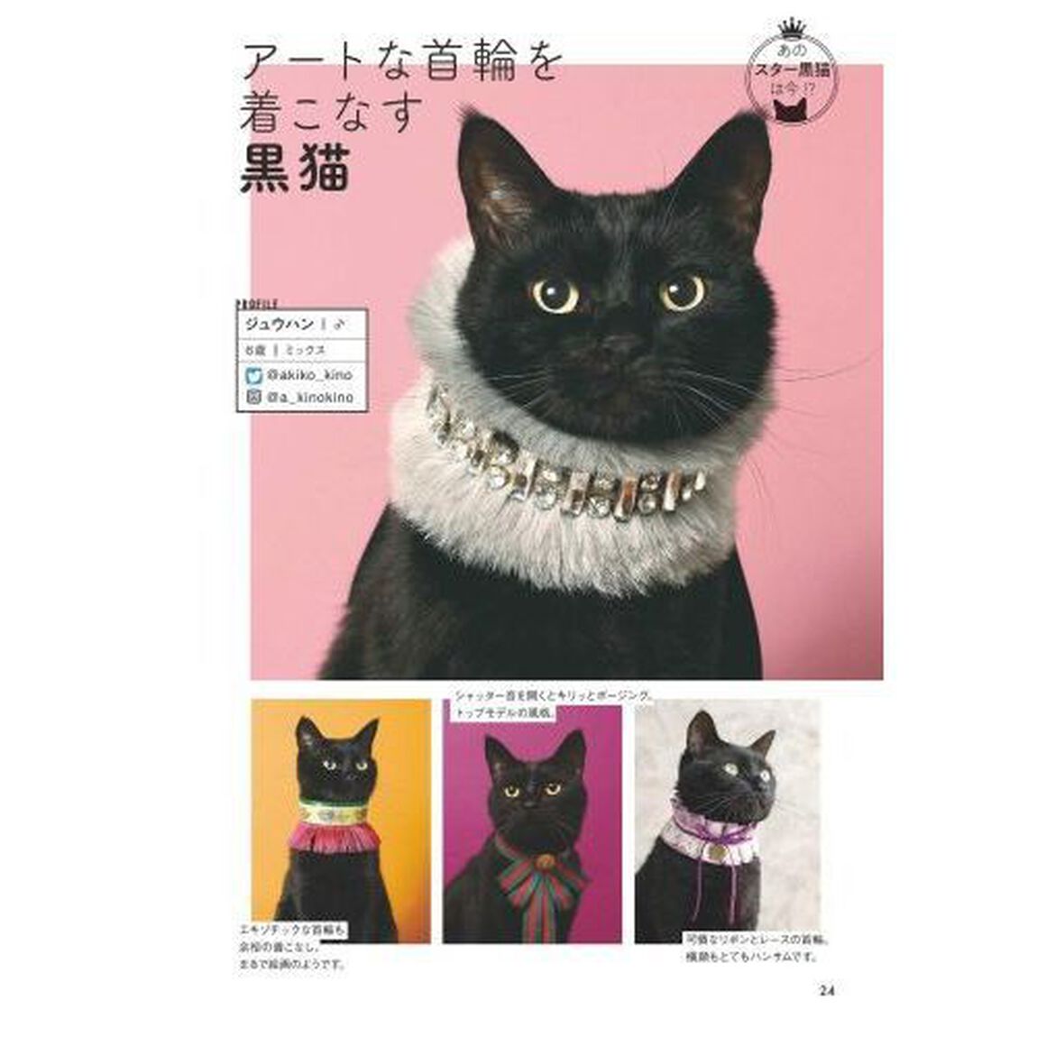 黒猫まみれ　まるごと１冊黒猫マガジン