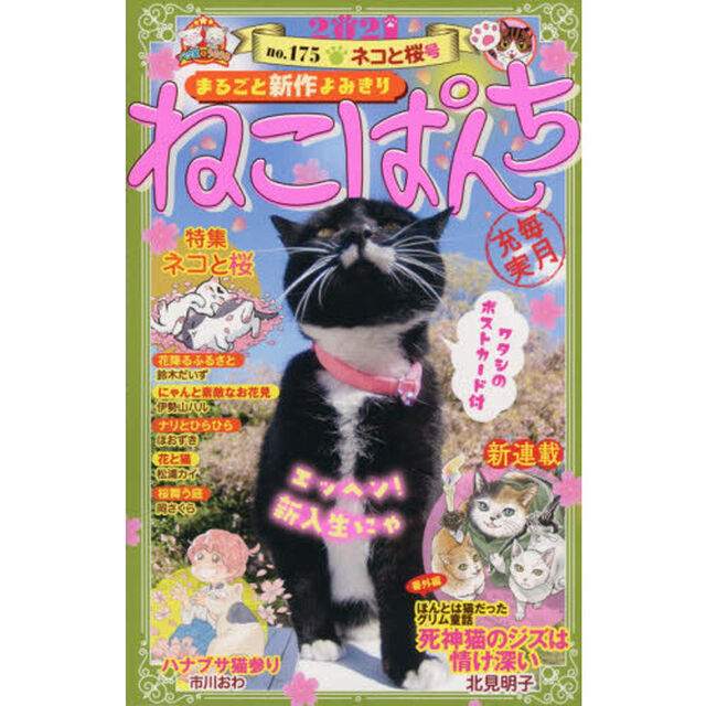 ねこぱんち　ネコと桜号