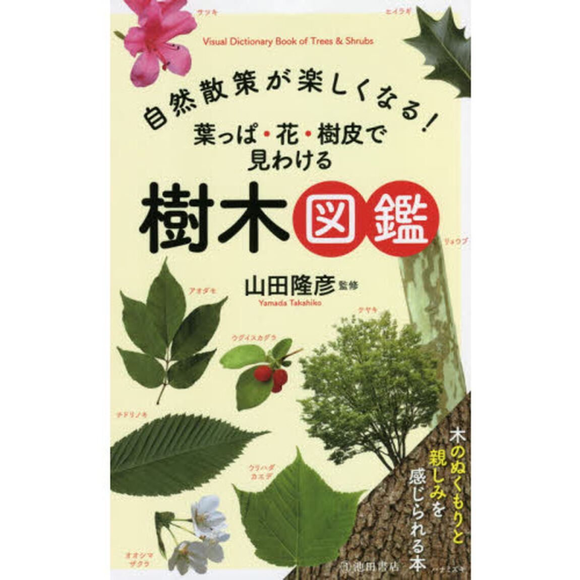 自然散策が楽しくなる！葉っぱ・花・樹皮で見わける樹木図鑑