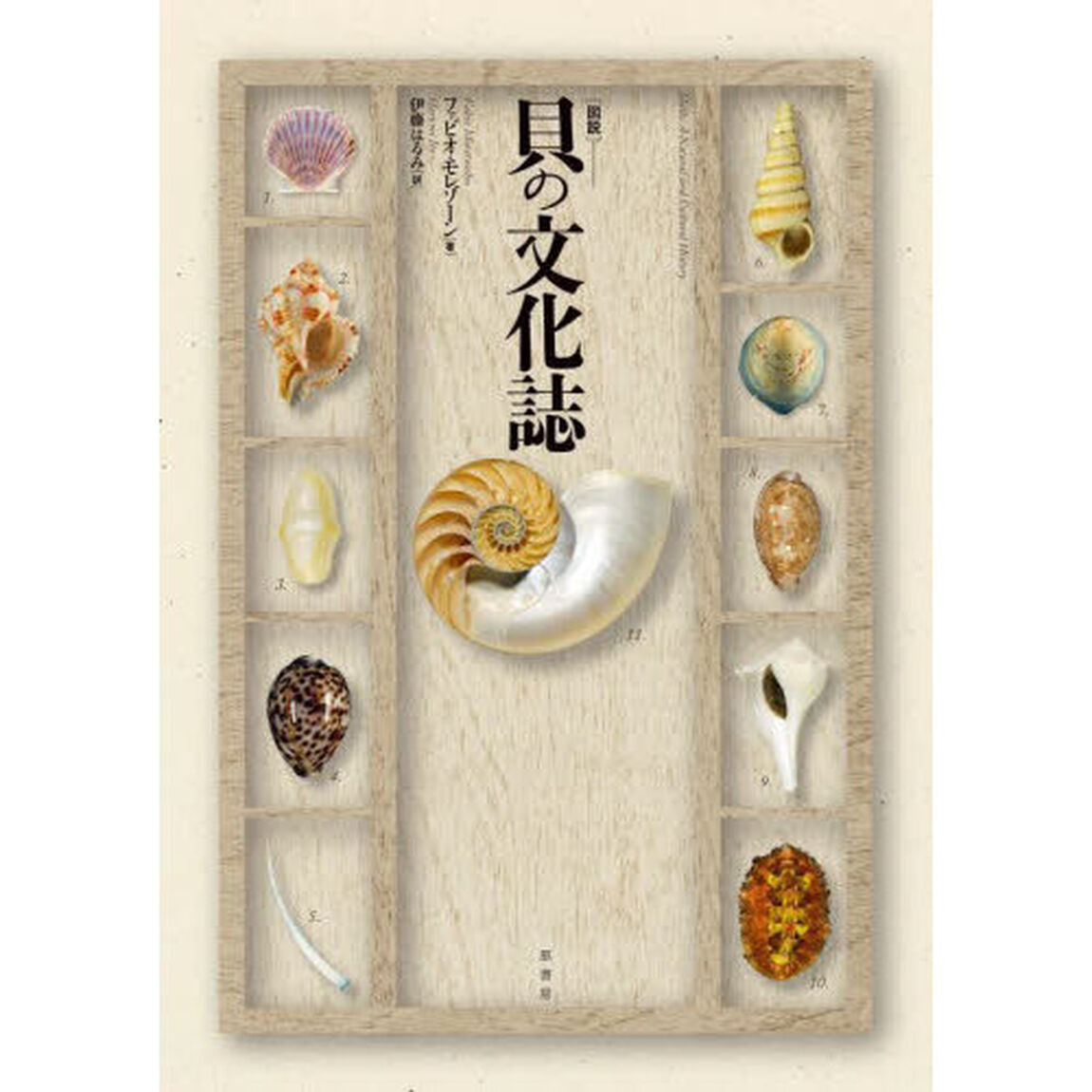 〈図説〉貝の文化誌