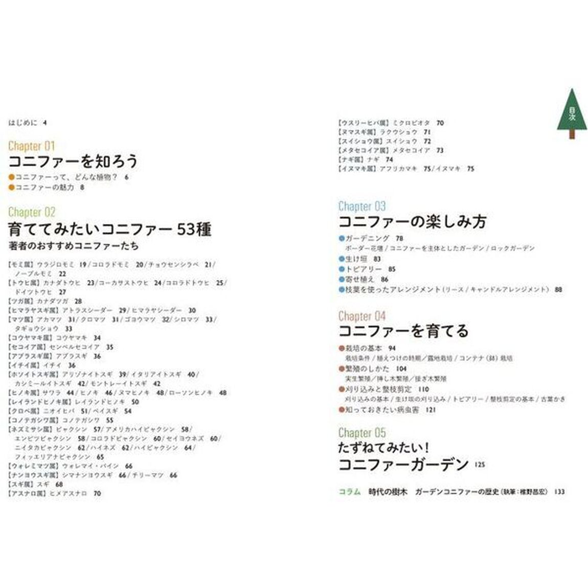コニファー楽しみ方と育て方