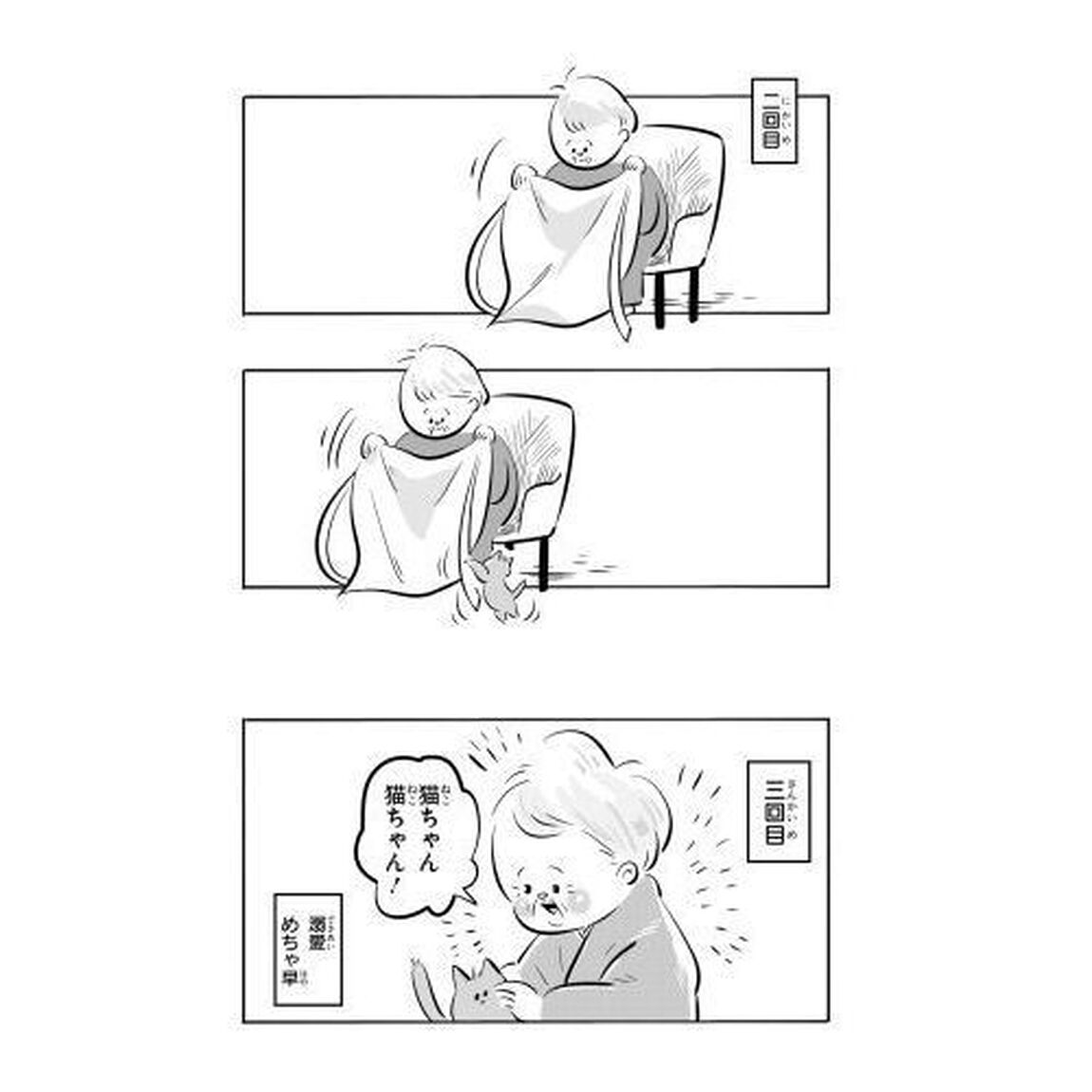 祖母と猫