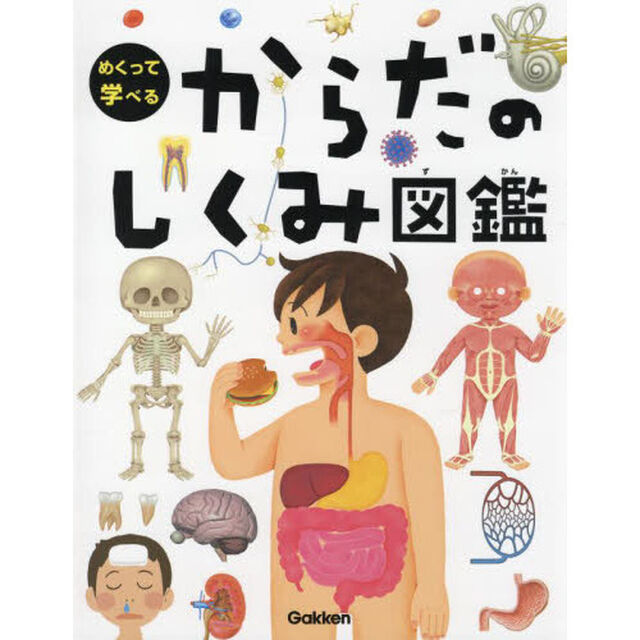 めくって学べるからだのしくみ図鑑