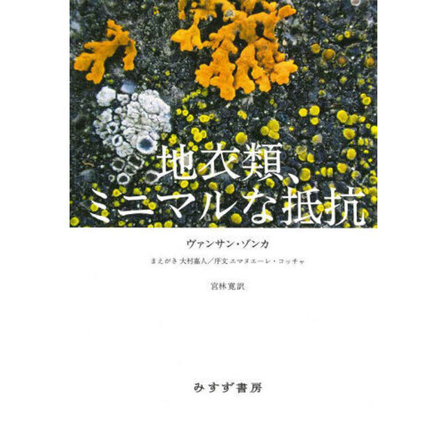 地衣類、ミニマルな抵抗