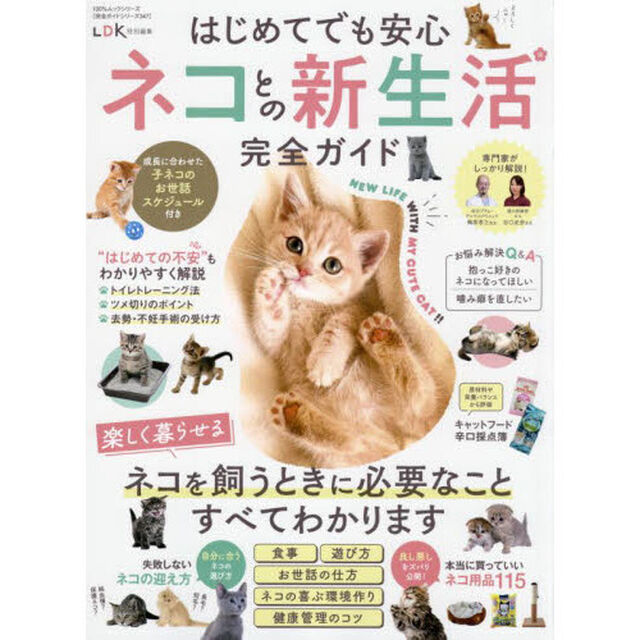 はじめてでも安心ネコとの新生活完全ガイド