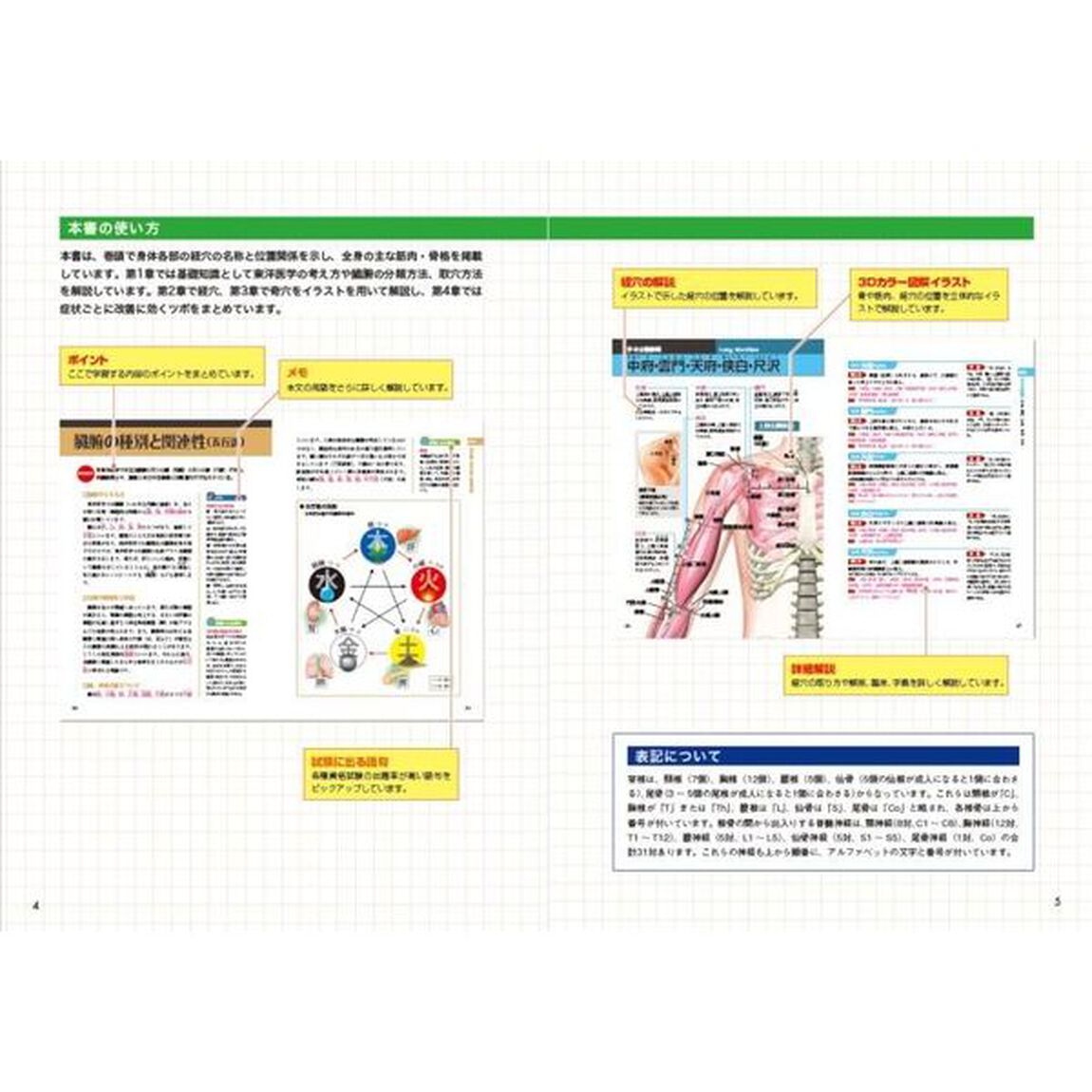 経絡・ツボの基本　オールカラー「新版」