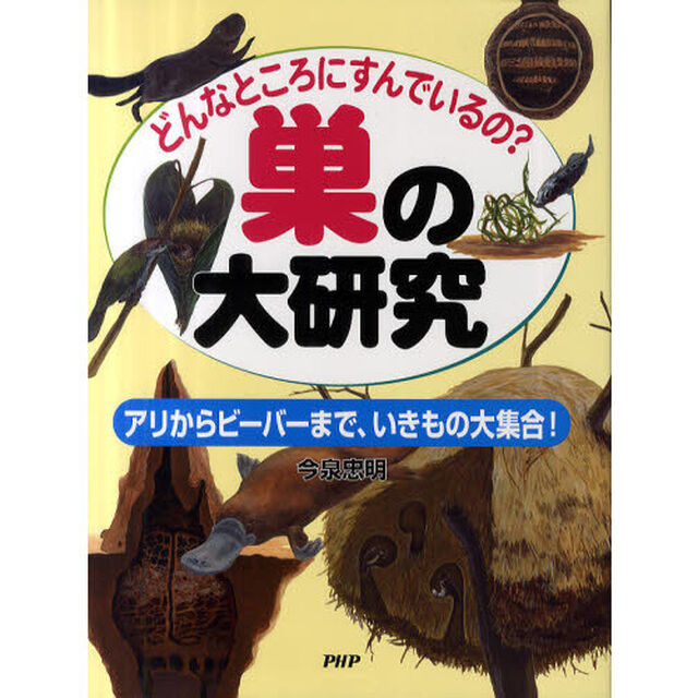 巣の大研究　どんなところにすんでいるの？　アリからビーバーまで、いきもの大集合！