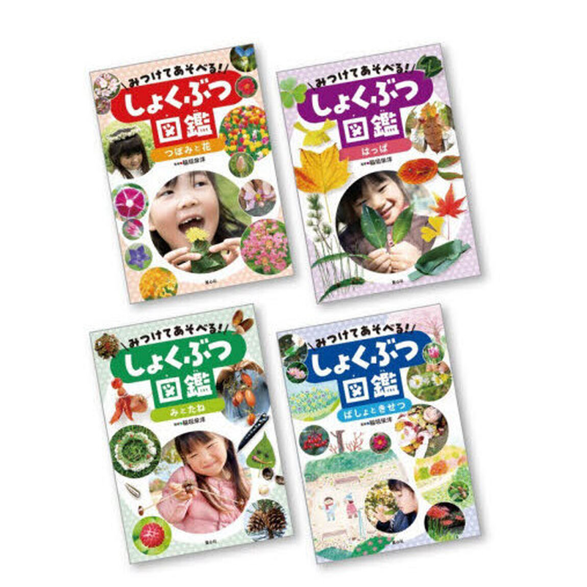 みつけてあそべる！しょくぶつ図鑑　４巻セット