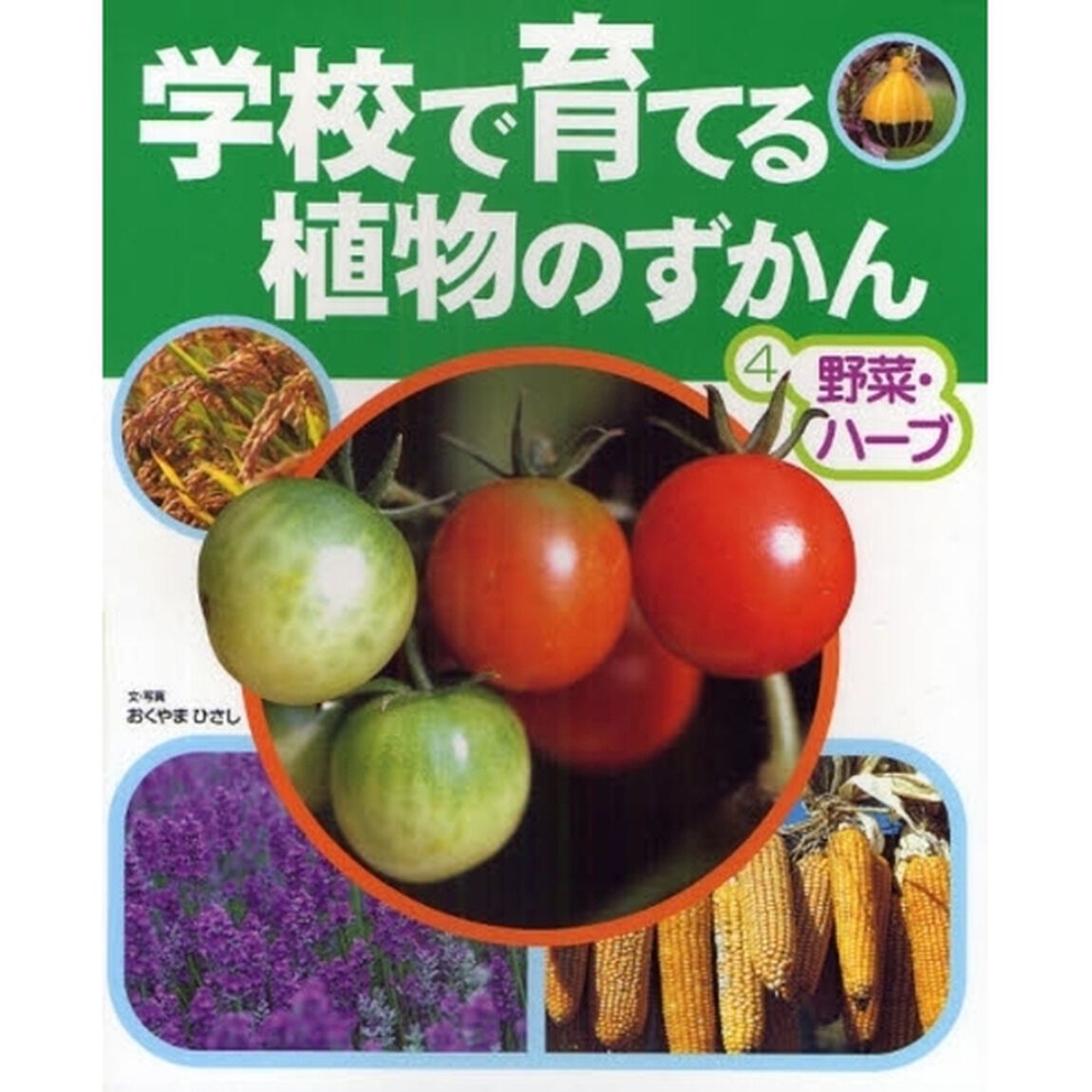 学校で育てる植物のずかん　４「野菜・ハーブ」