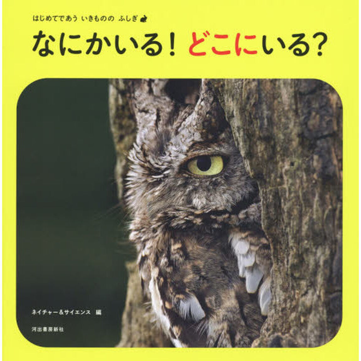 なにかいる！どこにいる？